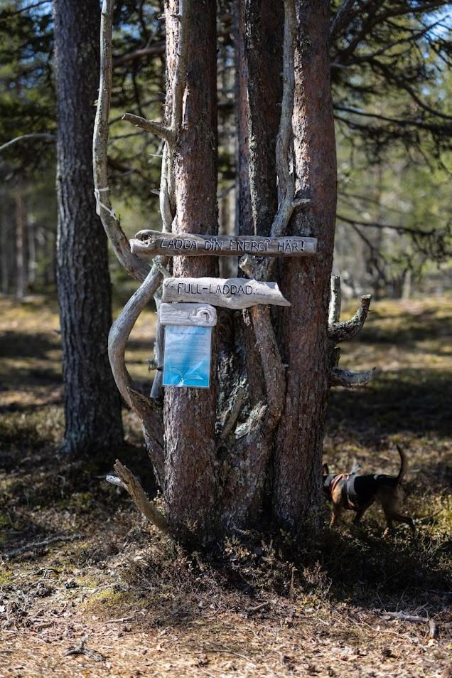 Hotel Nordic Lapland Frevisoeren Båtskärsnäs Zewnętrze zdjęcie